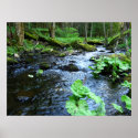 Stone Creek Valley posters