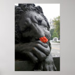 Stone Lion with Rose Poster
