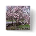 Stone Magnolias Pin