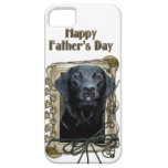 Stone_Paws_Labrador_Black