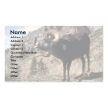 Stone sheep (Trophy ram) Business Card