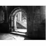Stone Stairs In Fountains Abbey photo sculptures