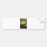Stone Steps Across A Pond Bumper Sticker