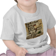 Stone Wall. With small plant. Shirts