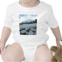 Stone Wall With Snow Tees