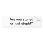 Stoned or stupid bumper sticker