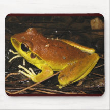 Stoney Creek Frog - Litoria wilcoxi Mouse Pads
