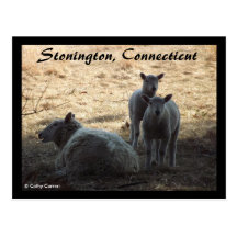 Stonington, Connecticut Post Card