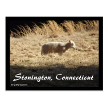Stonington, Connecticut Postcard