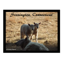 Stonington, Connecticut Postcards