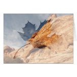 Stony Contrast; Customizable