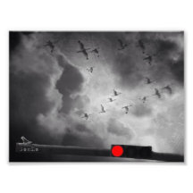 Stop and look photographic print