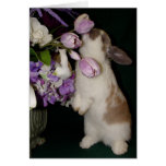 Stop and Smell the Flowers Greeting Cards