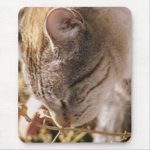 Stop and Smell the Flowers Mouse Pad