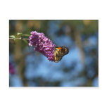 Stop and Smell the Flowers postcards