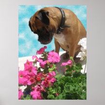 Stop and Smell the Flowers Posters