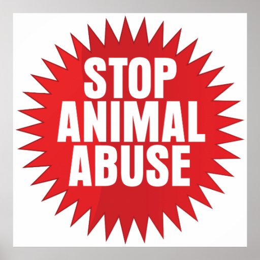 Stop animal abuse essay