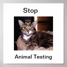 Stop Animal Tesing poster