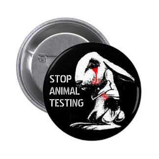 Animal testing debate image