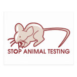Stop Animal Testing Post Cards