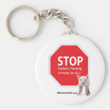 Stop Factory Farms Series 1 Key Chains