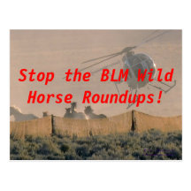STOP THE ROUNDUP POST CARD