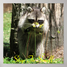 Stop To Smell The Flowers Posters