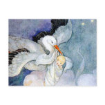 Stork and Baby Post Card