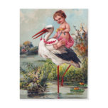 Stork and Baby Post Cards