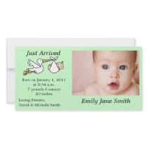 Stork Birth Announcement, 4x8 Horizontal