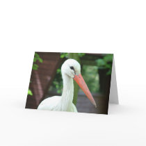 stork card