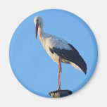 Stork on pole magnet