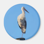 Stork on pole refrigerator magnet