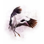 Stork t-shirts