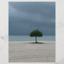Storm Brewing Personalized Flyer