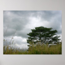 Storm Coming - Kauai, HI Print