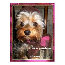 Storms of Life Postcard