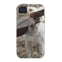 Stormy and pheasant iPhone 4/4S case