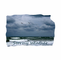 Stormy Beach with Seagulls Image Text Photo Cutouts