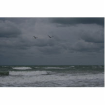 Stormy ocean with birds flying cut out