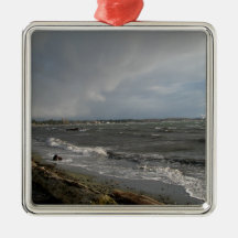 Stormy Weather Christmas Tree Ornaments