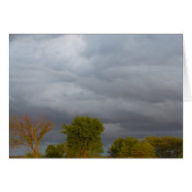Stormy Weather Greeting Cards
