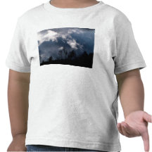 Stormy Weather T Shirt