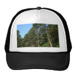 Stow Lake In San Franciscos Golden Gate Park Hat