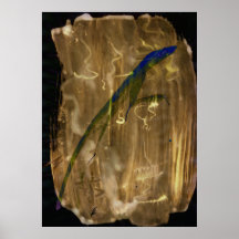 STP - 002 - Gecko Print