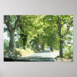 Strada in Umbria Poster