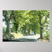 Strada in Umbria Poster
