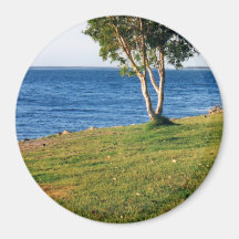 Stradbroke Island Fridge Magnet