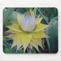 Strange and Unsual Plant Mouse Pads