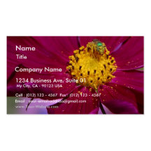 Strange Grren Bug On A Flower In Balboa Park Business Cards